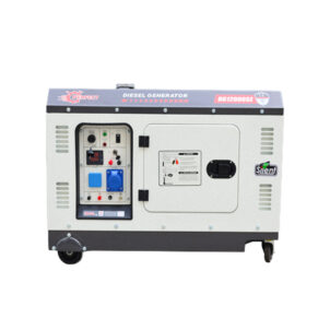 Perfect diesel generatorDG12000SE